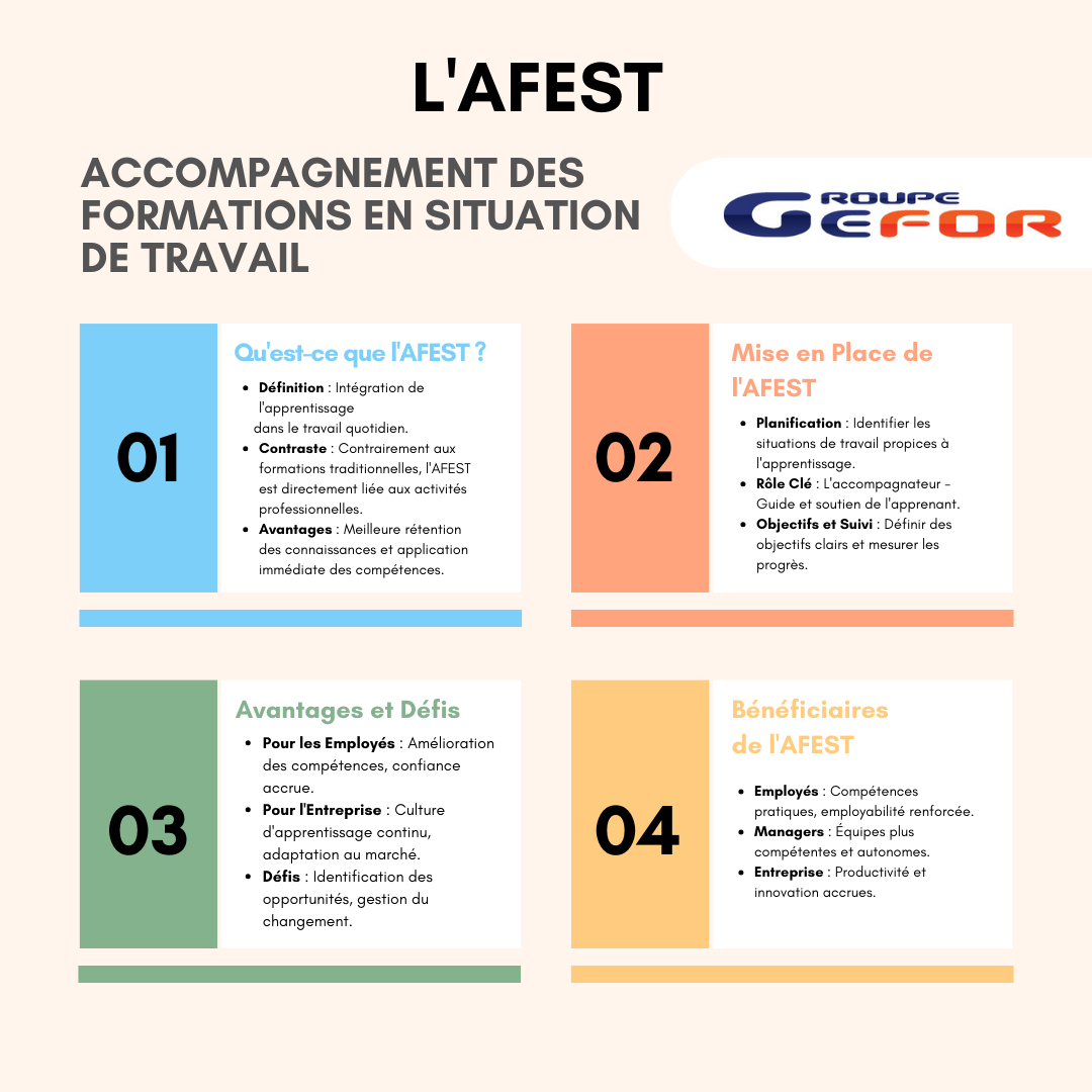 Infographie AFEST